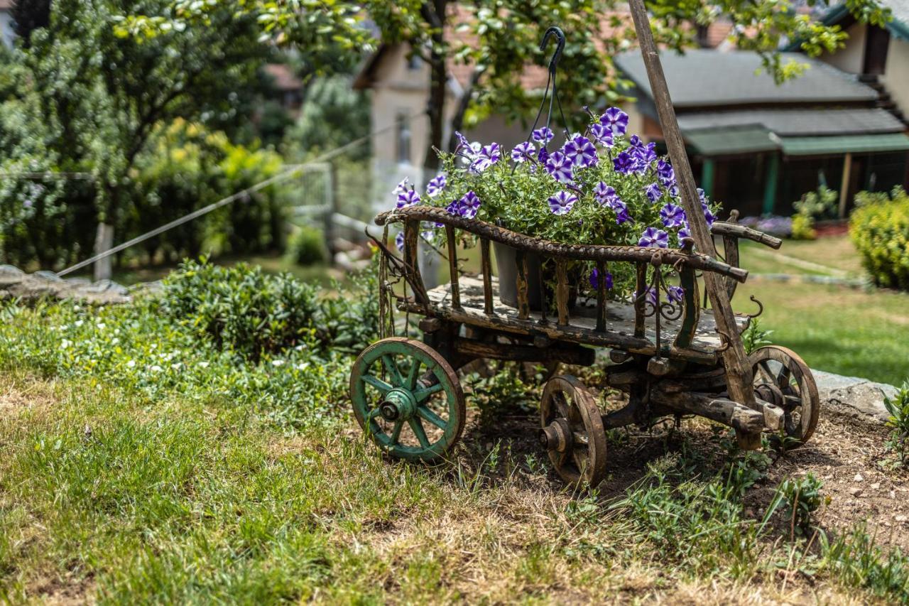 Apartament Avlija - Historic Gem Sarajewo Zewnętrze zdjęcie